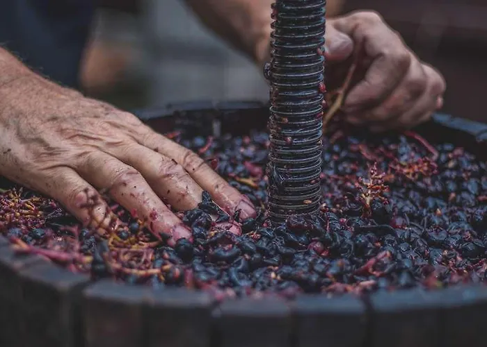 The Originals City, Gare 2*